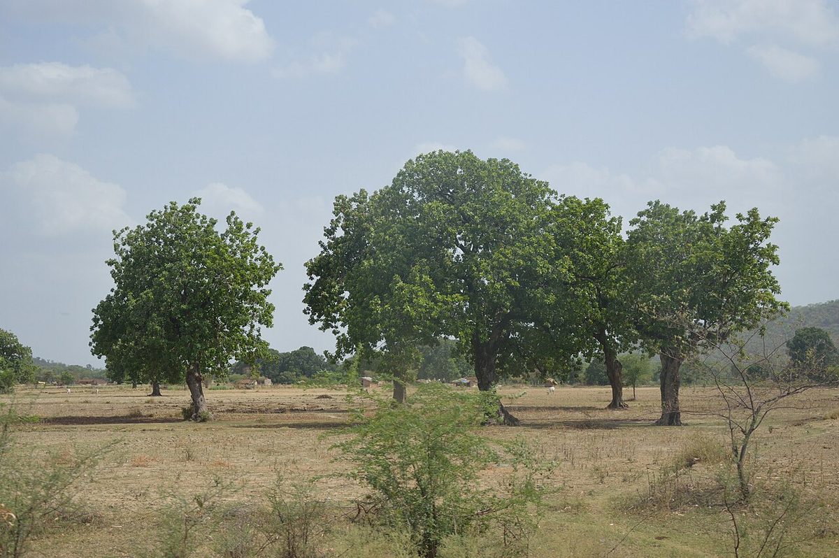 Residential Plot in Kamla Nagar
