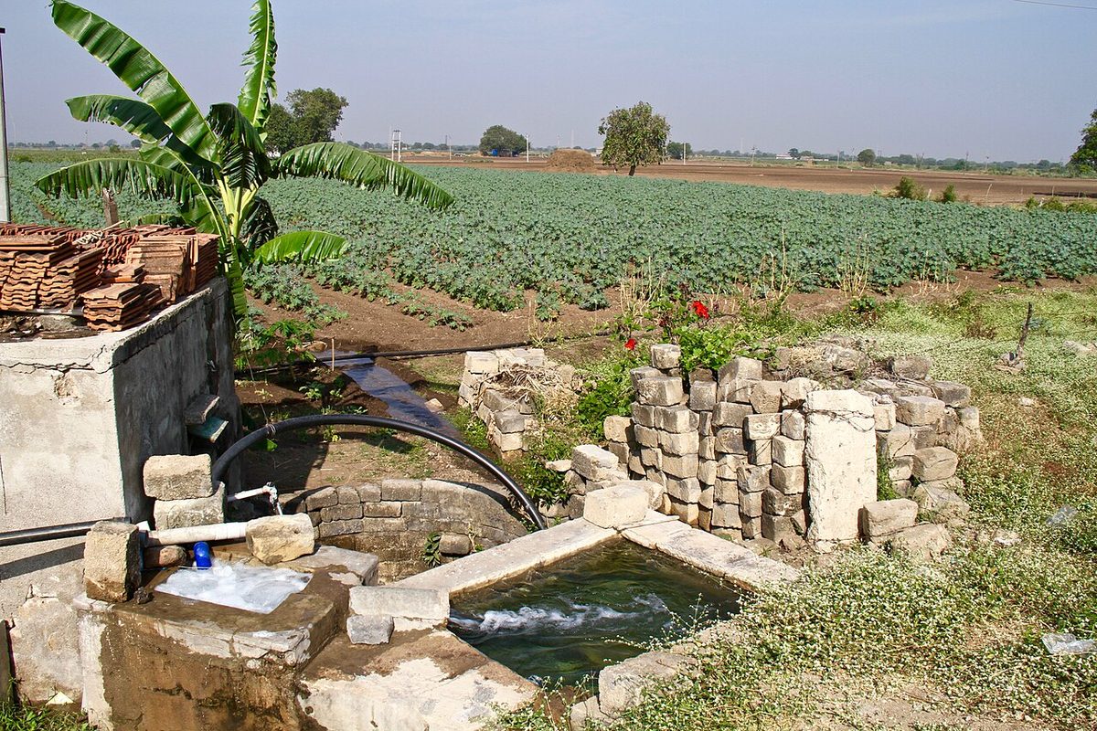 Ground water tubewell irrigation crop Gujarat India.jpg
