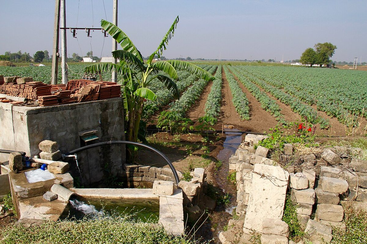Ground water tubewell irrigation horticulture Gujarat India.jpg
