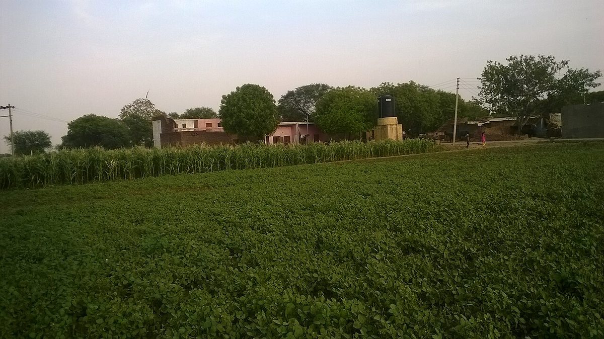 Field in Agra 20140902 2.jpg
