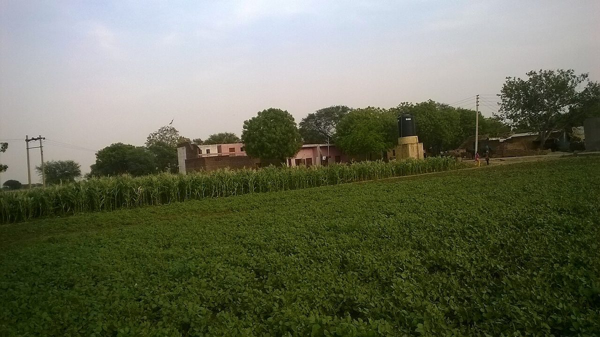 Field in Agra 20140902 1.jpg