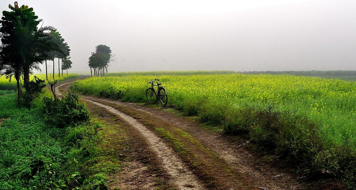Agriculture farm near Ruppur village, West Bengal, India December 2013.jpg