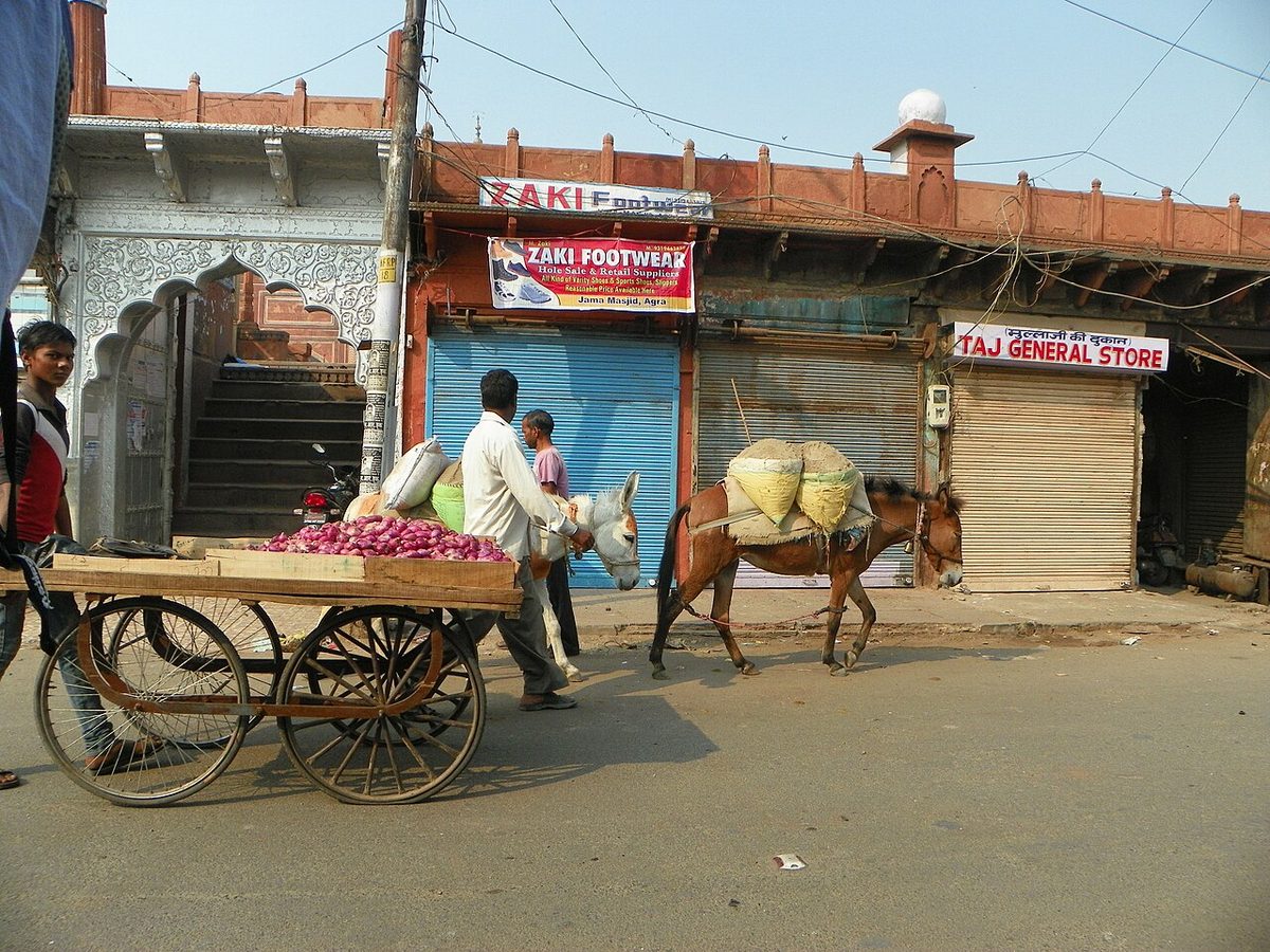Agra 21 - Jamma Masjid entrance (27491020767).jpg