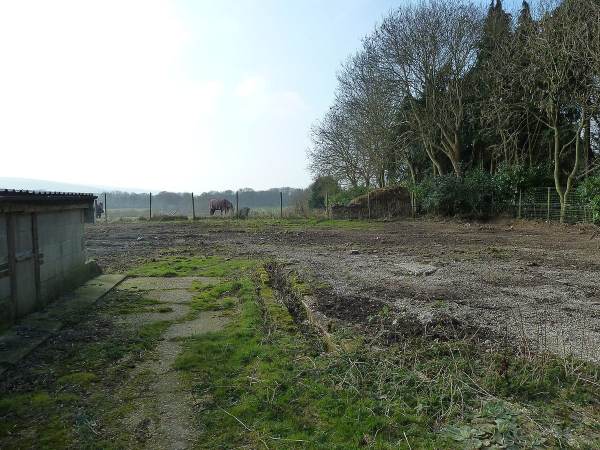 New nursery site - Flickr - peganum (7).jpg
