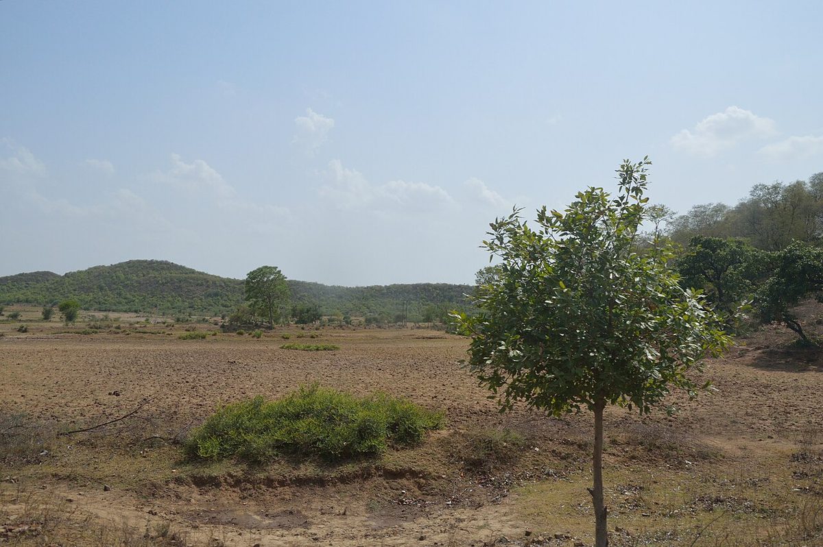 Landscape - Chitrakoot - Uttar Pradesh - 2014-07-04 5699.JPG