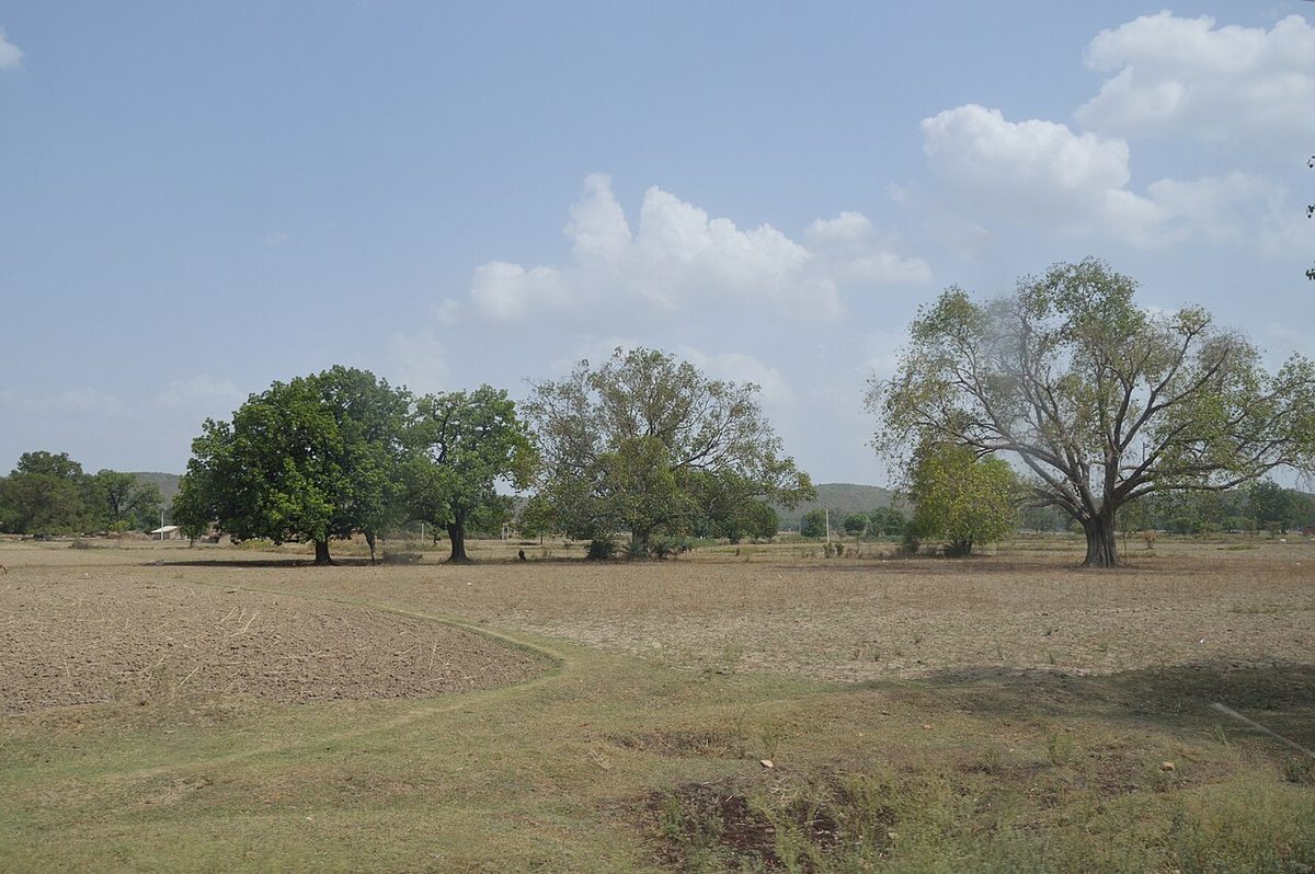 Landscape - Chitrakoot - Uttar Pradesh - 2014-07-04 5707.JPG